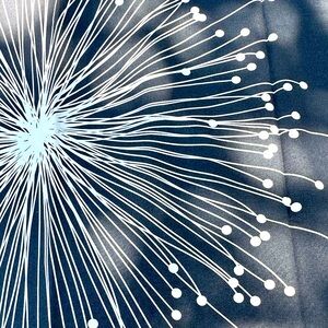 Custom Mid-Century Modern Window Drapes (set of 2)